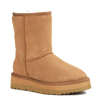 Ugg BootsUGG Platform Classic Short Boots 